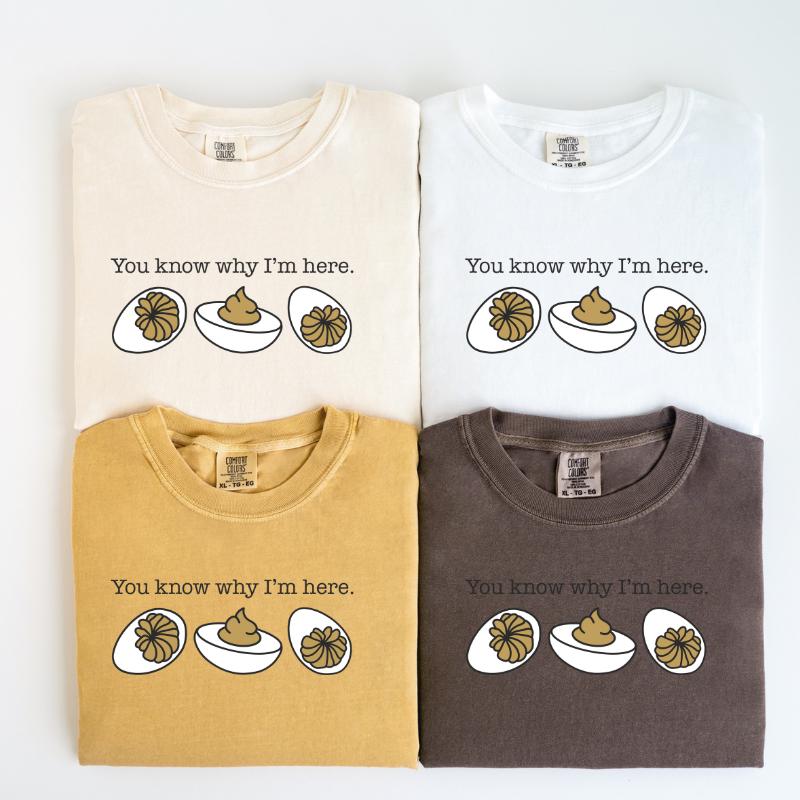 You know why I'm here Thanksgiving T-shirt